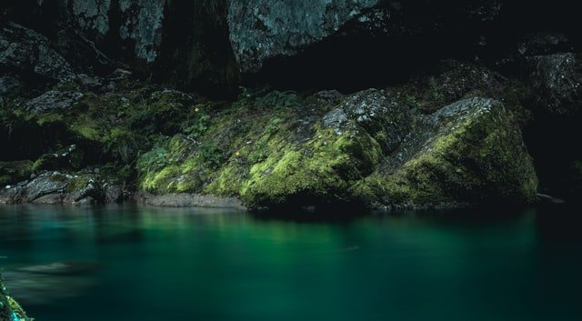 Black Coral & Moss, op. 4
