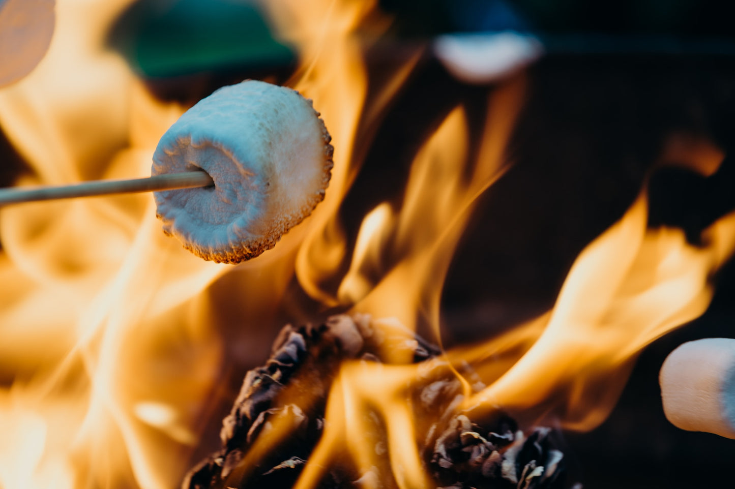 Campfire Marshmallow, op. 13