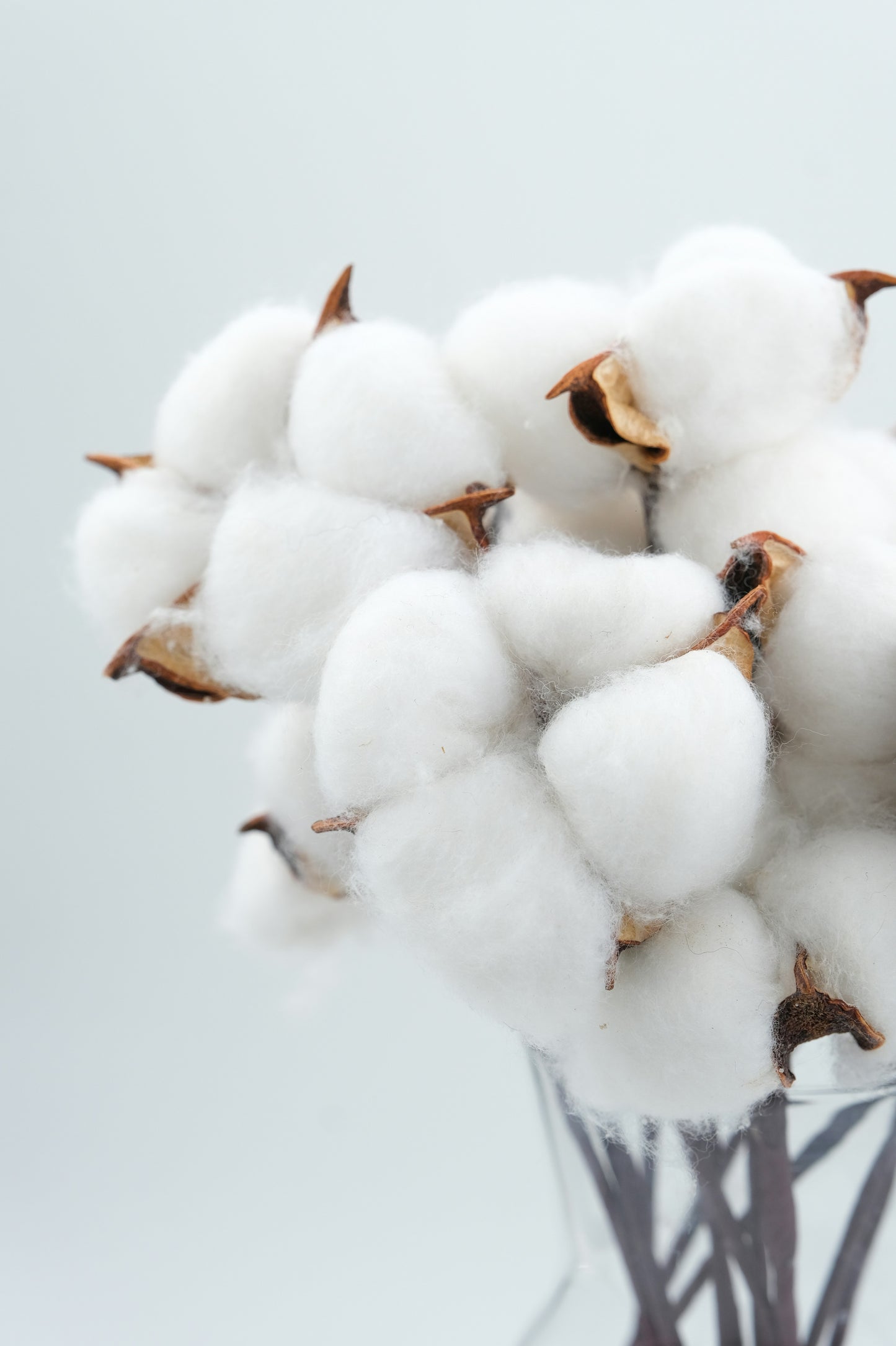 Clean Cotton, op. 20